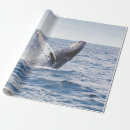 Suche nach riesen geschenkpapier Wild