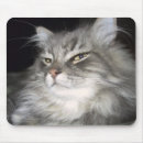 Suche nach haltungen mousepads Katze