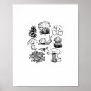 Suche nach fungi poster Fairycore