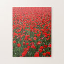 Suche nach mohn puzzle Fotografie