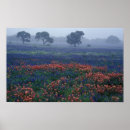 Suche nach botanische eiche poster Natur