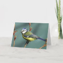 Suche nach lied karten Für alle