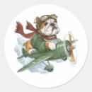 Suche nach englische bulldogge aufkleber Welpe