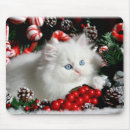 Suche nach perser mousepads Persisch