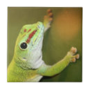 Suche nach gecko fliesen Eidechse