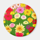 Suche nach wilde blume magnete Blumenreich