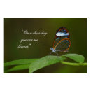 Suche nach clear poster Glasschmetterling