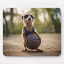 Suche nach meerkats mousepads Suricata