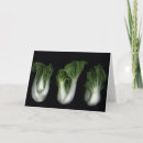 Suche nach bok choy Kohl