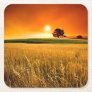 Suche nach weizen untersetzer Fotografie