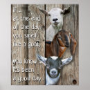 Suche nach niedliche ziegen poster Farm