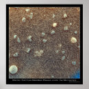 Suche nach mikroskopische kunst Wissenschaft