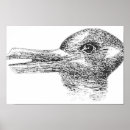 Suche nach comic ente poster Enten