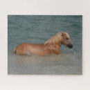 Suche nach haflinger puzzle Meer
