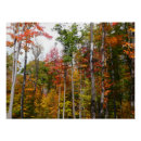 Suche nach wald im herbst poster Gelb