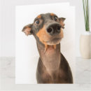 Suche nach doberman karten Niedlich