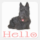 Suche nach schottischer hund aufkleber Welpe