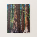 Suche nach baumstamm puzzle Wald