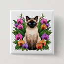 Suche nach siamesisch buttons Katze