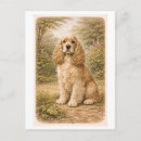Suche nach cocker spaniel hunde postkarten Haustier
