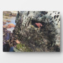 Suche nach rocker fotoplatten Ozean
