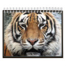 Suche nach wildes tier kalender Gorilla