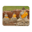 Suche nach buddha haustier wohnen zuhause Alt