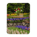 Suche nach keukenhof magnete Blume