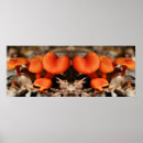 Suche nach pilz kunst Für sie