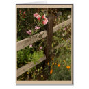 Suche nach gartenzaun Blume