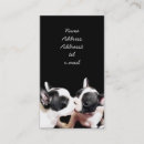 Suche nach französische bulldogge visitenkarten Frenchie