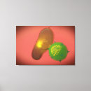 Suche nach zellen leinwandbilder Biomedizinische illustrationen