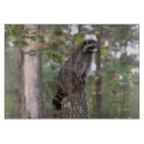 Suche nach waschbär schneidebrettchen Jede person