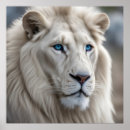 Suche nach weißer löwe poster Wild lebende tiere