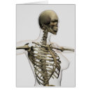 Suche nach sternum Biologie