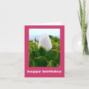 Suche nach protea karten Tropische blume
