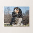 Suche nach könig puzzle Schwarz