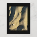 Suche nach muschel postkarten Strand