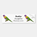 Suche nach lorikeet Bird