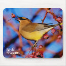 Suche nach zeder mousepads Vogel