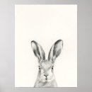 Suche nach rabbits poster Animal