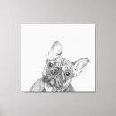 Suche nach französische leinwandbilder Bulldogge