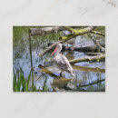 Suche nach pelican visitenkarten Wasser