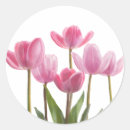 Suche nach rosa tulpen aufkleber Für sie