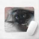 Suche nach blaue augen mousepads Katzenliebhaber