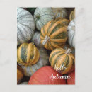 Suche nach herbst postkarten Fotografie