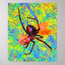 Suche nach black widow spider kunst Rot