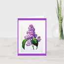 Suche nach pierre joseph redoute karten Blume