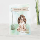 Suche nach cocker spaniel karten Haustiere