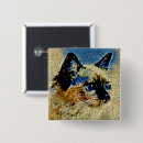 Suche nach katze mit blauen augen buttons Miezekatze